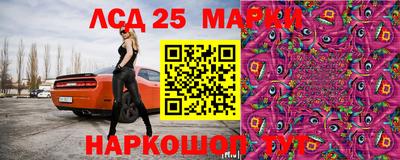 скорость Донской