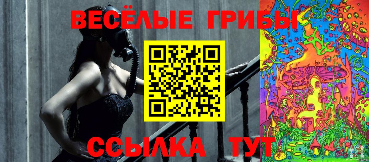 Псилоцибиновые грибы прущие грибы Менделеевск
